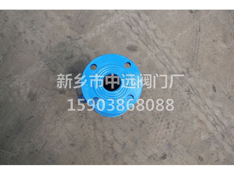 鑄鐵過(guò)濾器