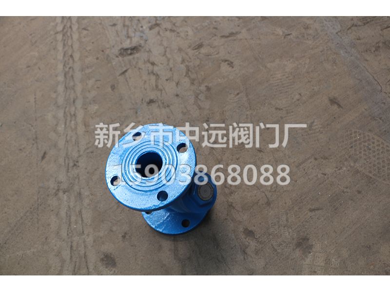 鑄鐵過濾器