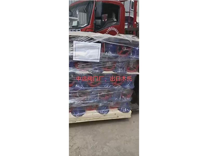 發貨視頻